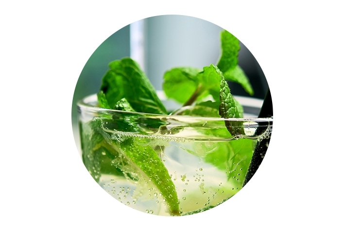 Mojito Mojito