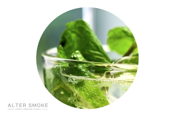 Mojito Mojito