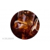 Cola