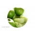 Pomme Verte 