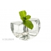 Menthe Glaciale