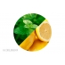 Menthe Citron